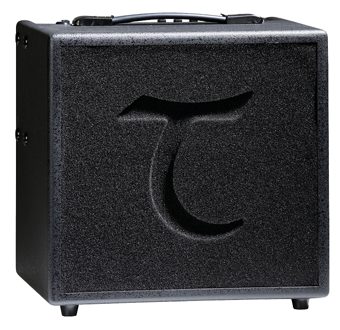 AMPLIFICADOR-TANGLEWOOD-T-6-60W-CFUNDA_All_2830_1.png