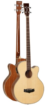 BAJO-ACUSTICO-TANGLEWOOD-TW8AB-_All_1814_1.jpeg