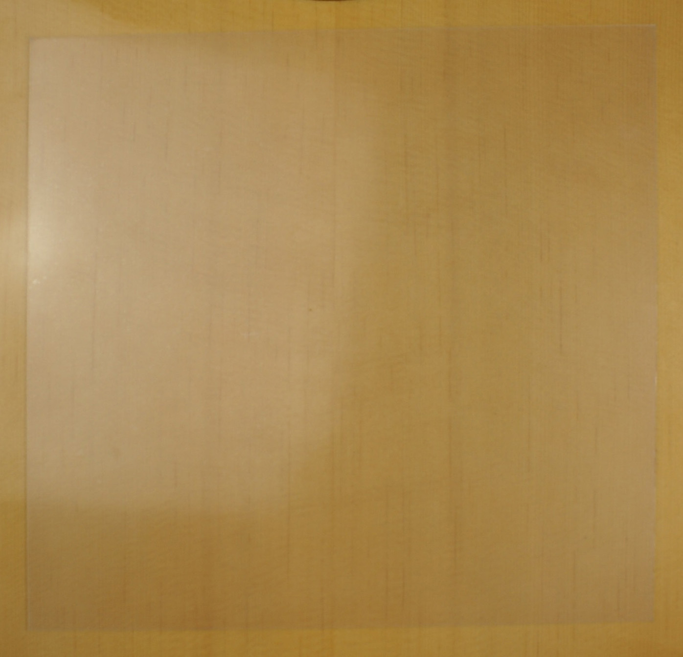 GOLPEADOR-TRANSPARENTE-ADHESIVO-GRANDE-CUADRADO-GTAG_All_1826_1.jpeg
