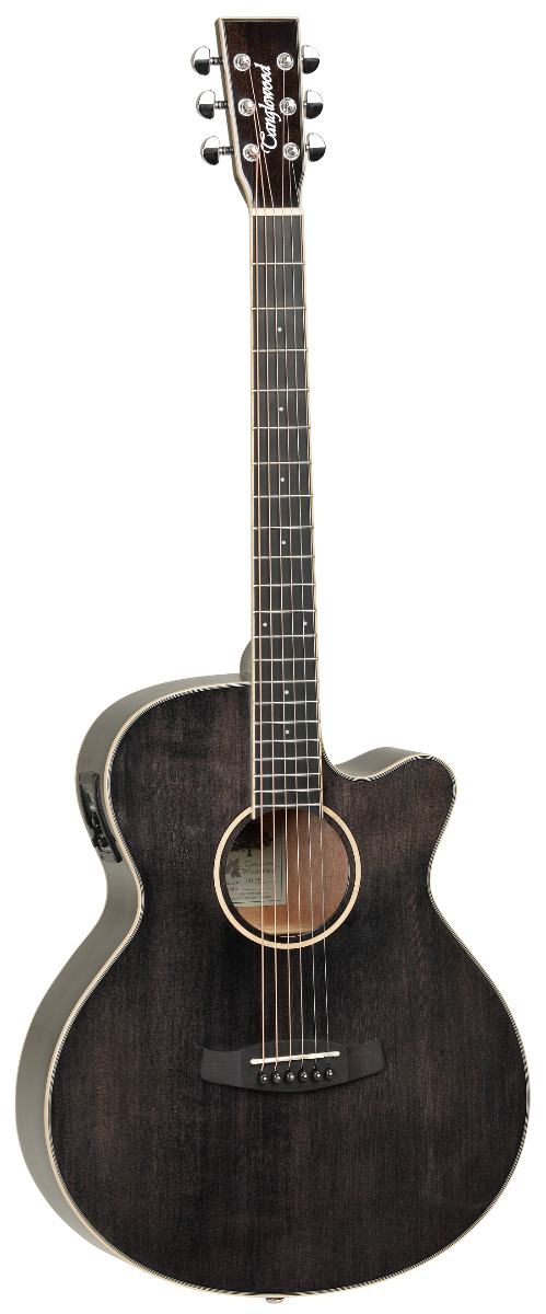 GUITARRA-ACUSTICA-TANGLEWOOD-MINI-JUMBO-TW4BS_All_2372_1.png