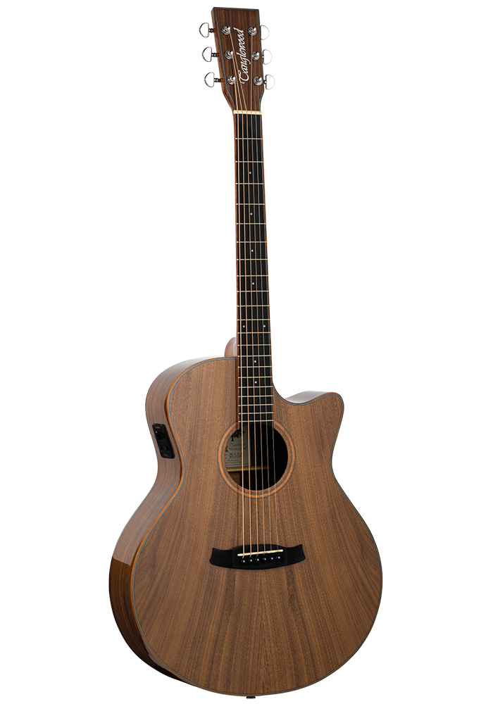 GUITARRA-ACUSTICA-TANGLEWOOD-SERIE-WINTERLEAF-EXOTIC-BLACK-WALNUT_All_2733_1.jpeg