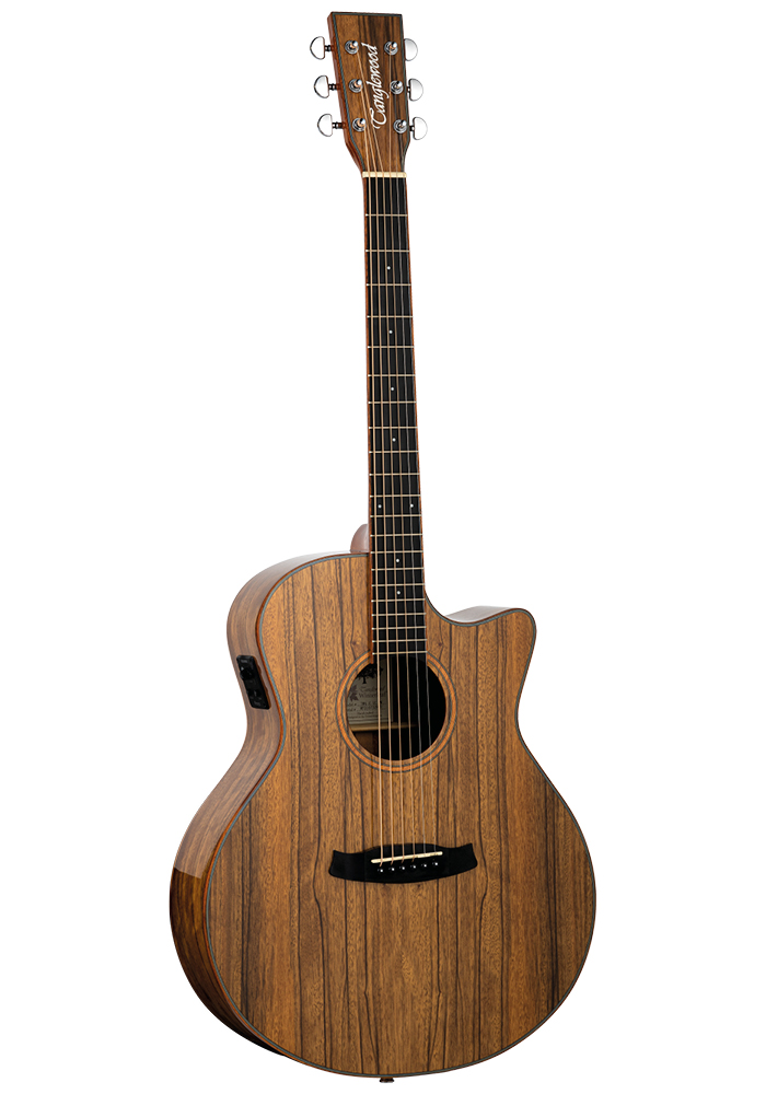 GUITARRA-ACUSTICA-TANGLEWOOD-SERIE-WINTERLEAF-EXOTIC-PACIFIC-WALNUT_All_2734_1.jpeg