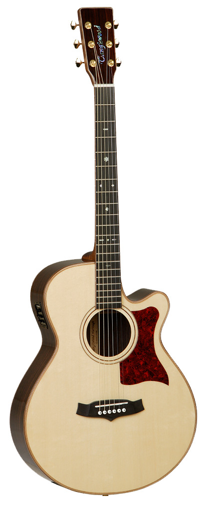 GUITARRA-ACUSTICA-TANGLEWOOD-SUPER-FOLK-CON-CUTAWAY-TW45HSRE-_All_2703_1.png