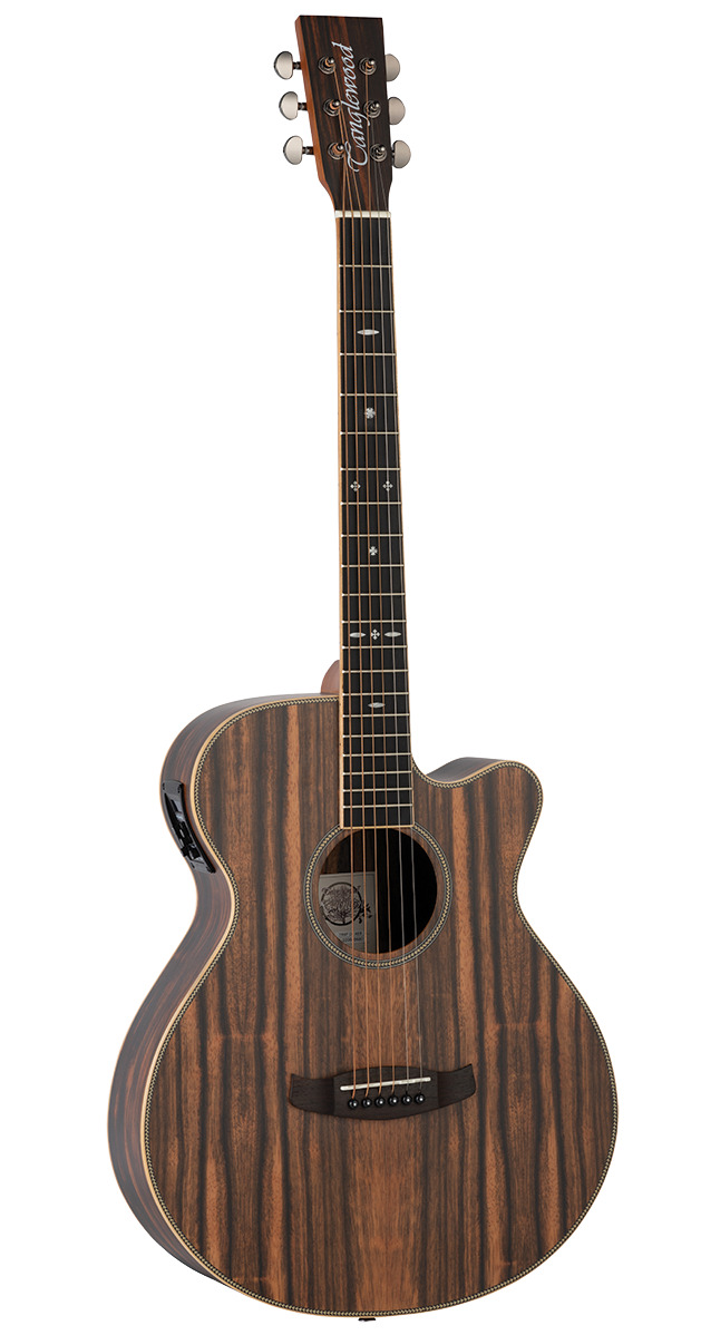 GUITARRA-ACUSTICA-TANGLEWOOD-SUPER-FOLK-TRSFCEAEB-_All_1813_1.png