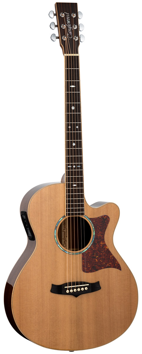 GUITARRA-ACUSTICA-TANGLEWOOD-TW45RE-SERIE-SUNDANCE-PERFORMANCE-PRO_All_2704_1.jpeg