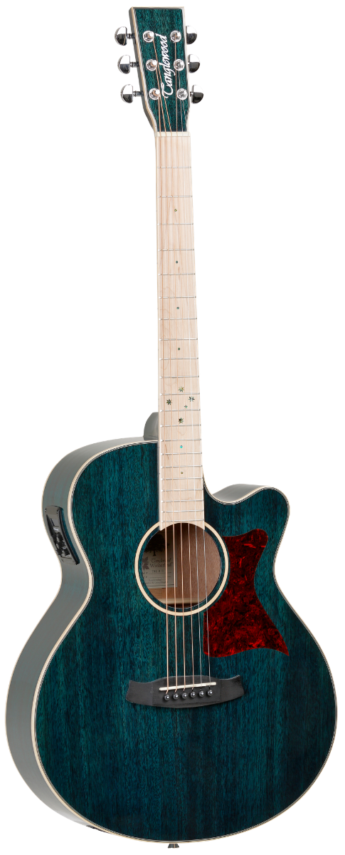 GUITARRA-ACUSTICA-TANGLEWOOD-TW4BLA-SERIE-WINTERLEAF-BLONDE_All_2731_1.png