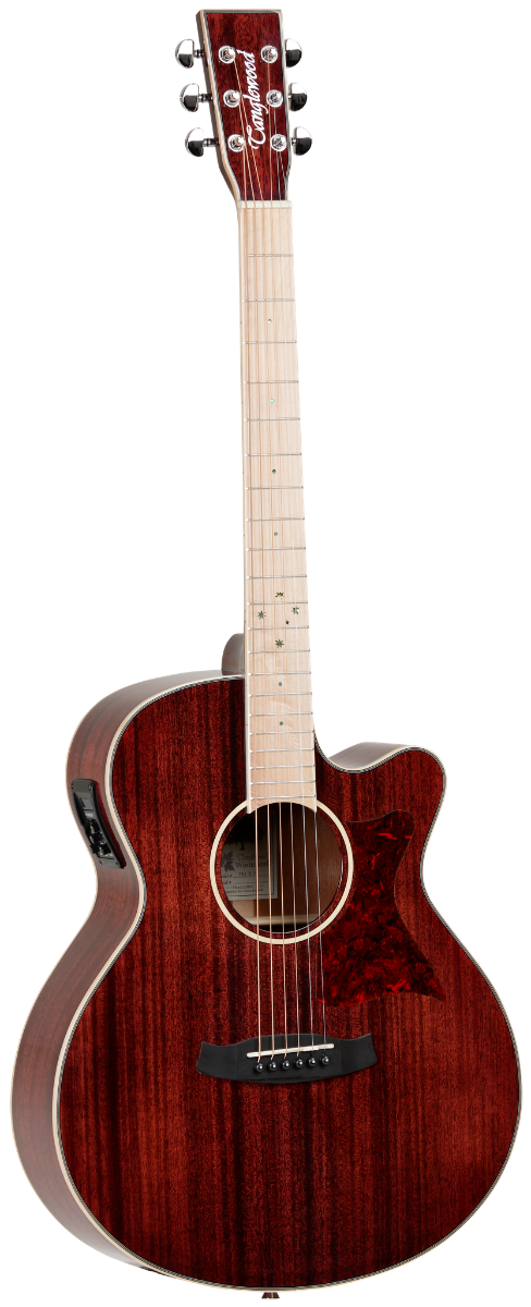 GUITARRA-ACUSTICA-TANGLEWOOD-TW4BLB-SERIE-WINTERLEAF-BLONDE_All_2732_1.png