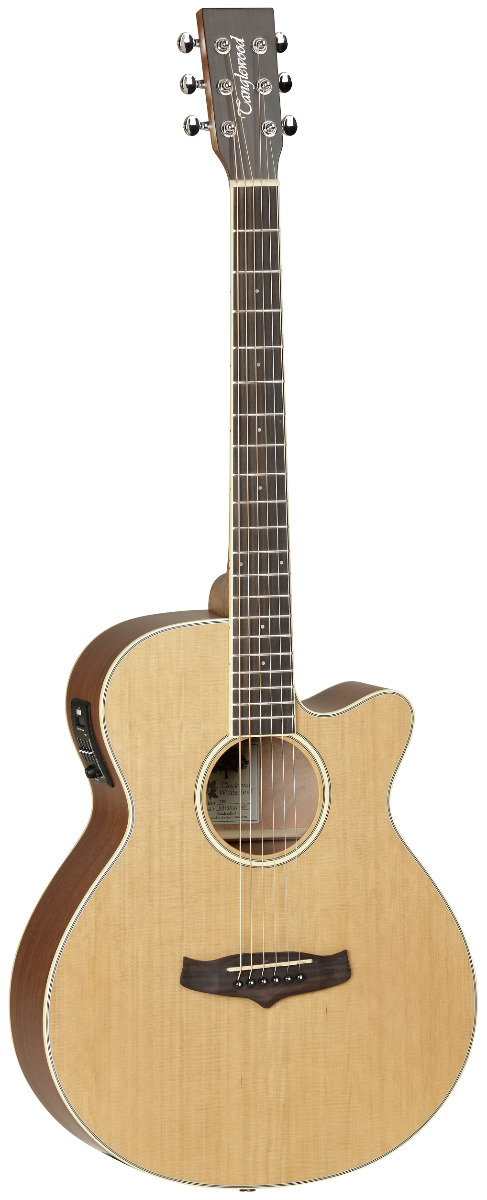 GUITARRA-ACUSTICA-TANGLEWOOD-TW9-SUPER-FOLK-CUTAWAY_All_1817_1.png