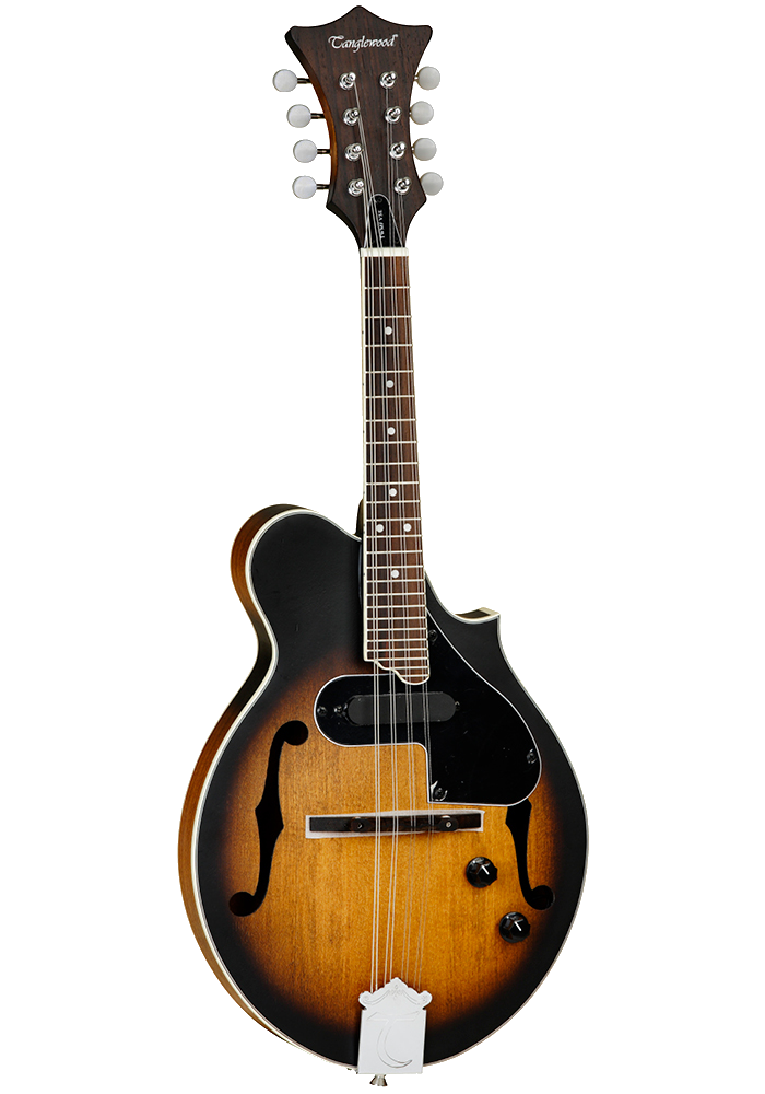 MANDOLINA-TANGLEWOOD-TWMFVSE_All_2358_1.png