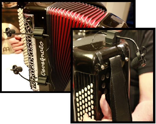 MICROFONO-PARA-ACORDEON-PRODIPE-AL21_All_1417_1.jpeg