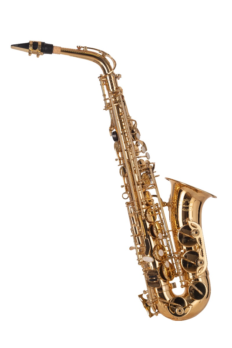 SAXO-ALTO-AMADEUS-AL802L-_All_1725_1.jpeg