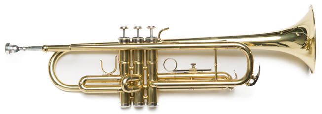TROMPETA-AMADEUS-DORADA-TP-807L-_All_1727_1.png