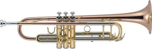 TROMPETA-J.-MICHAEL-TR450-EN-SI-BEMOL-_All_485_1.jpeg
