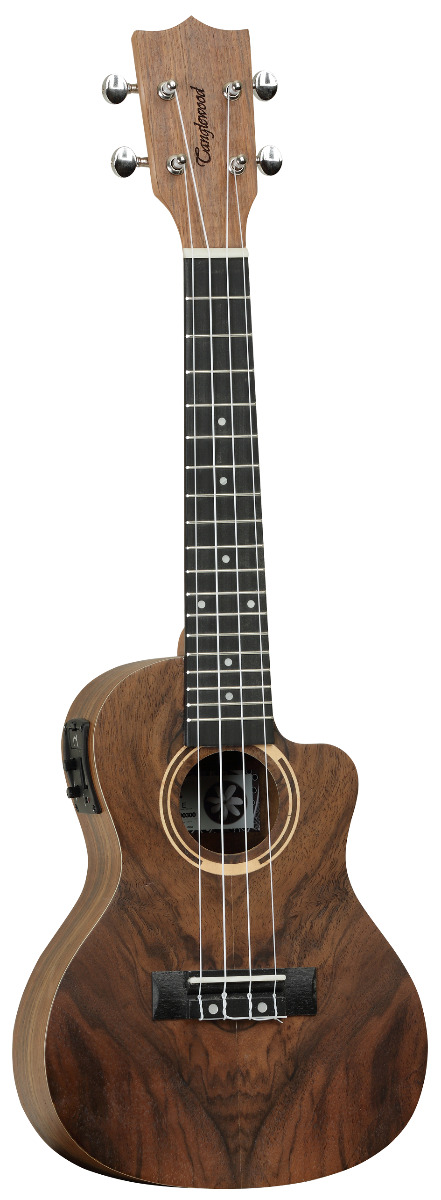 UKELELE-CONCIERTO-ELECTRIFICADO-TANGLEWOOD-CON-CUTAWAY_All_2195_1.png