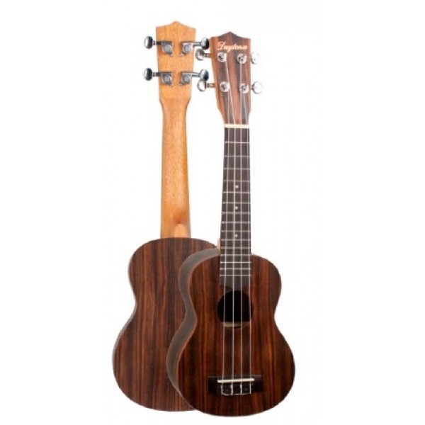 UKELELE-DAYTONA-CONCIERTO-EXOTIC-EBANO_All_2542_1.jpeg