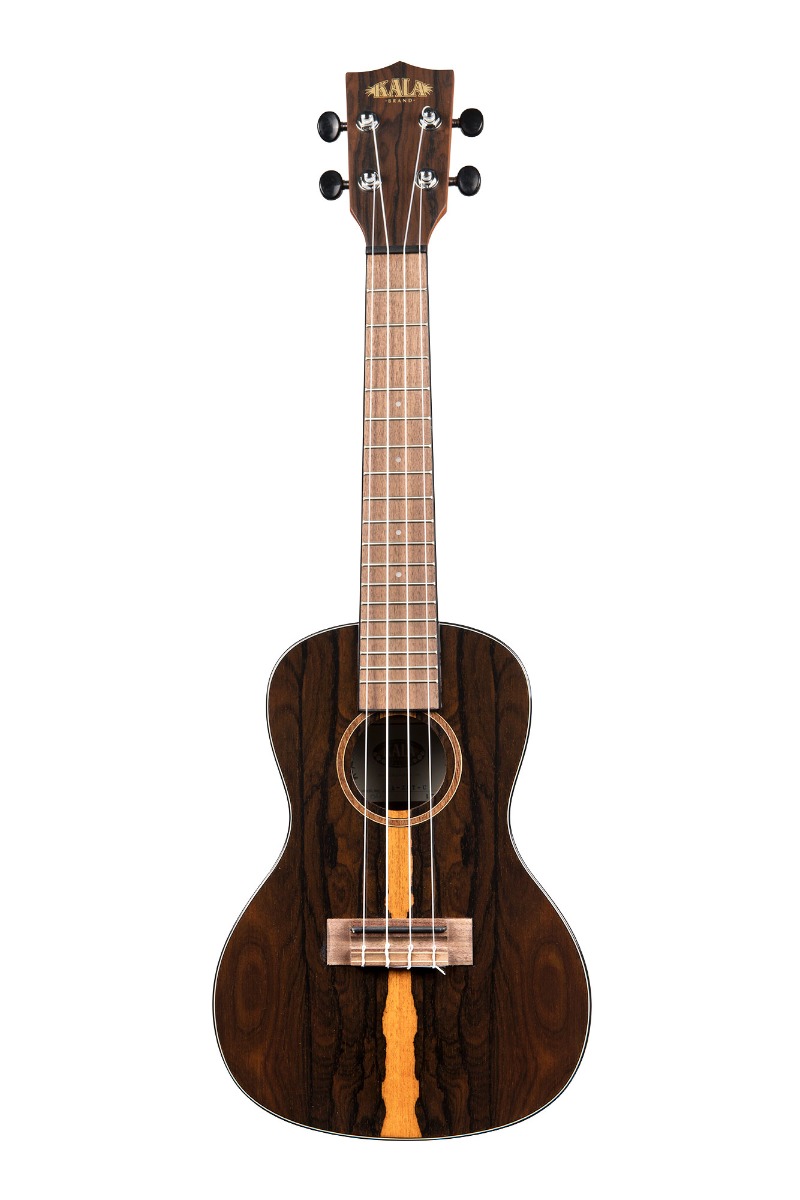 UKELELE-KALA-CONCIERTO-DE-ZIRICOTE_All_2198_1.jpeg