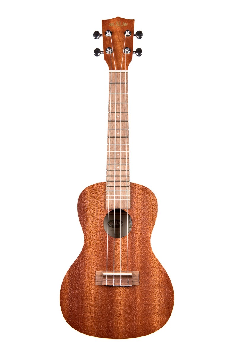 UKELELE-KALA-CONCIERTO-ELECTRIFICADO-KACE_All_1274_1.jpeg